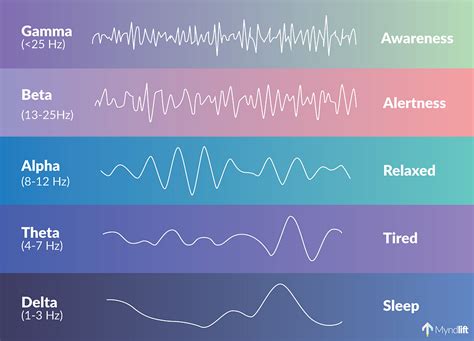 brainwave frequencies and their functions.